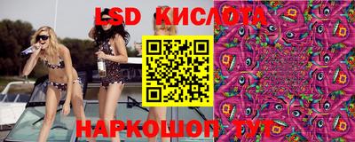 прущие грибы Усть-Джегута