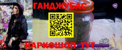 крисы Тулун
