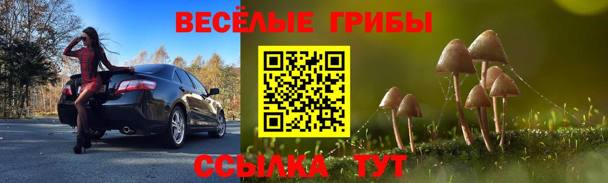 Галлюциногенные грибы MAGIC MUSHROOMS  где найти наркотики  Вход с VPN  Назрань  Псилоцибиновые грибы прущие грибы 